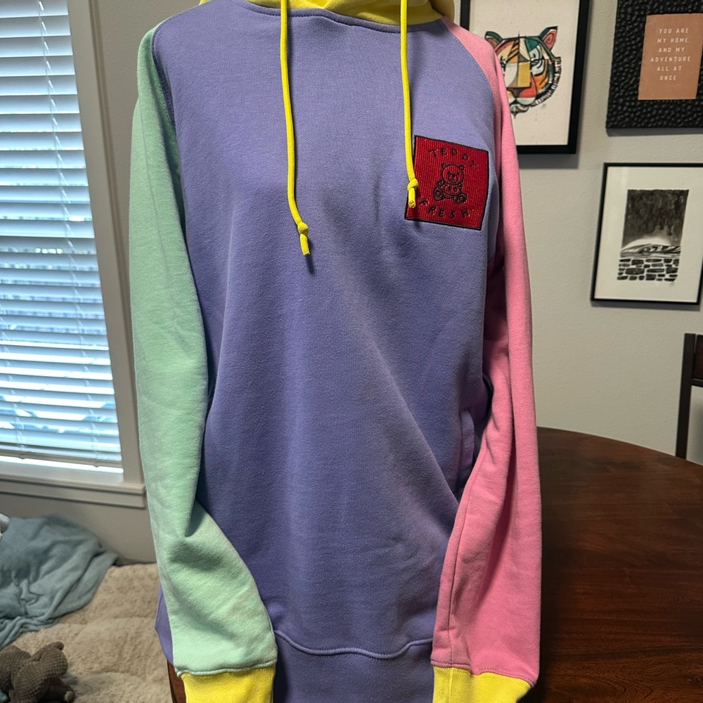 Teddy Fresh Multicolor Hoodie with Bear Patch